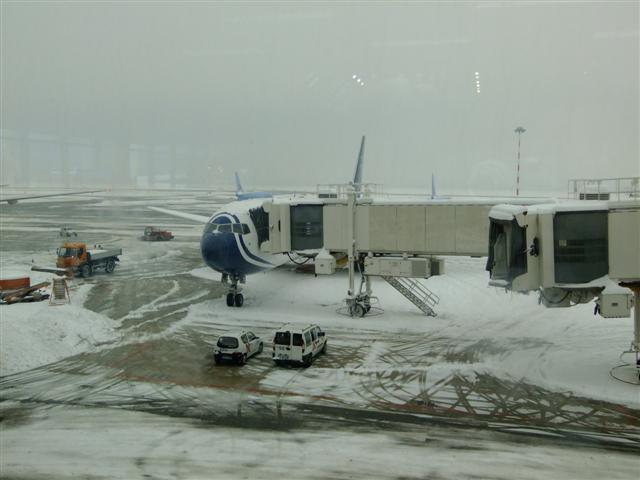 DSCF4514 (Small).JPG