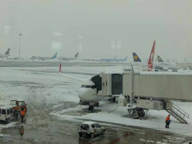 DSCF4521 (Small).JPG