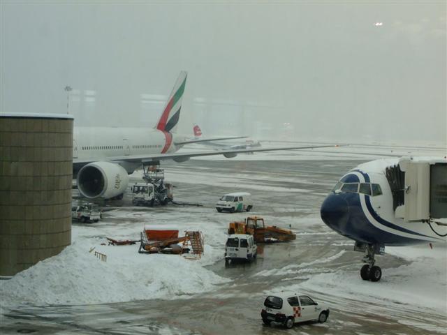 DSCF4529 (Small).JPG