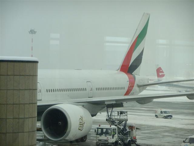 DSCF4530 (Small).JPG