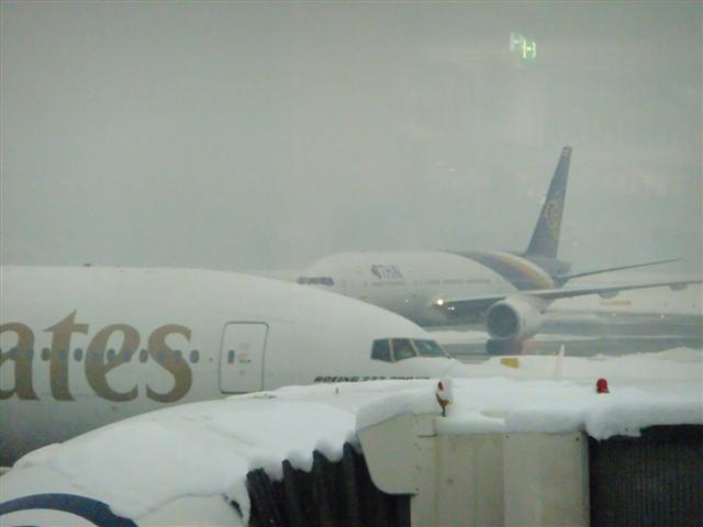 DSCF4554 (Small).JPG