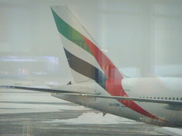 DSCF4555 (Small).JPG