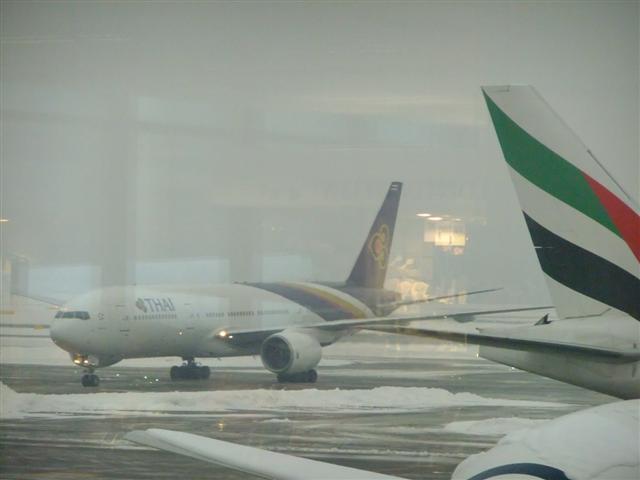 DSCF4556 (Small).JPG