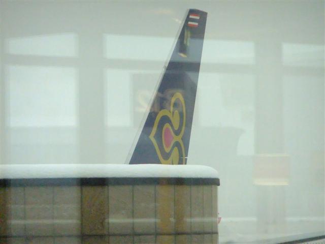 DSCF4566 (Small).JPG