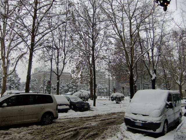 DSCF4387 (Small).JPG