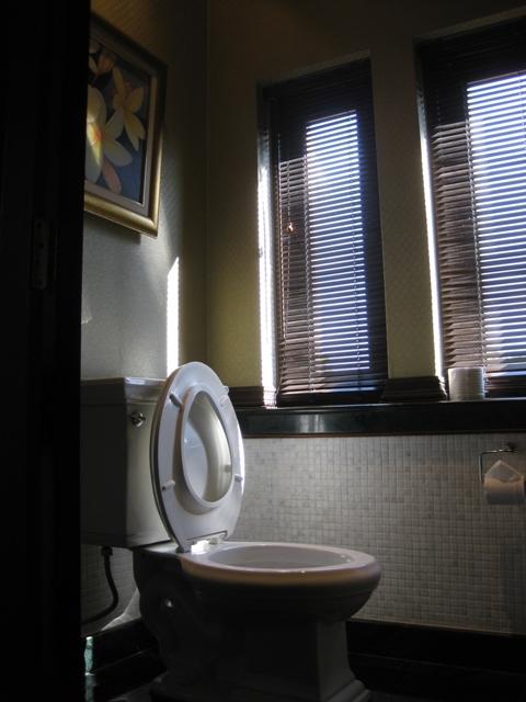 my pic 376.jpg