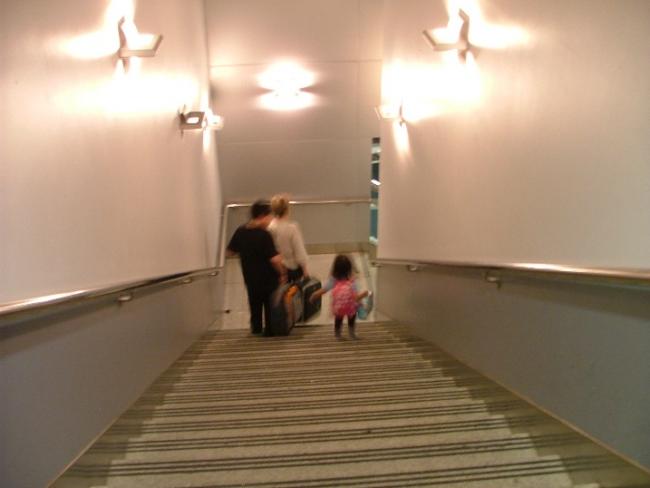 DSCF2217.JPG