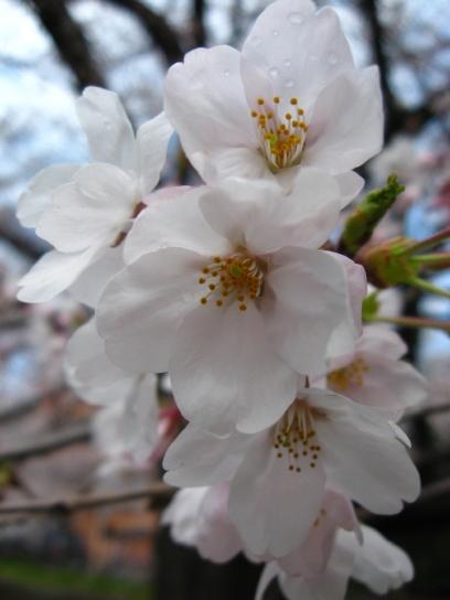 resized_IMG_1085.jpg