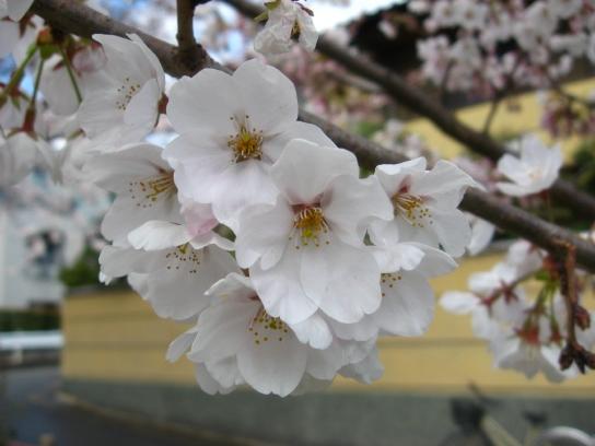 resized_IMG_1089.jpg