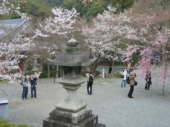 resized_IMG_5679.jpg