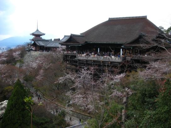resized_IMG_1188.jpg