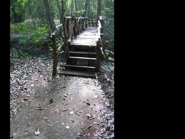 Slide42 (Small).JPG