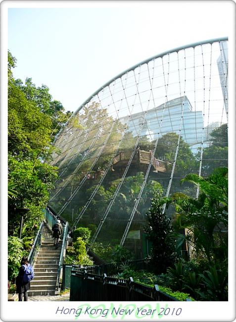 HK2010211.JPG
