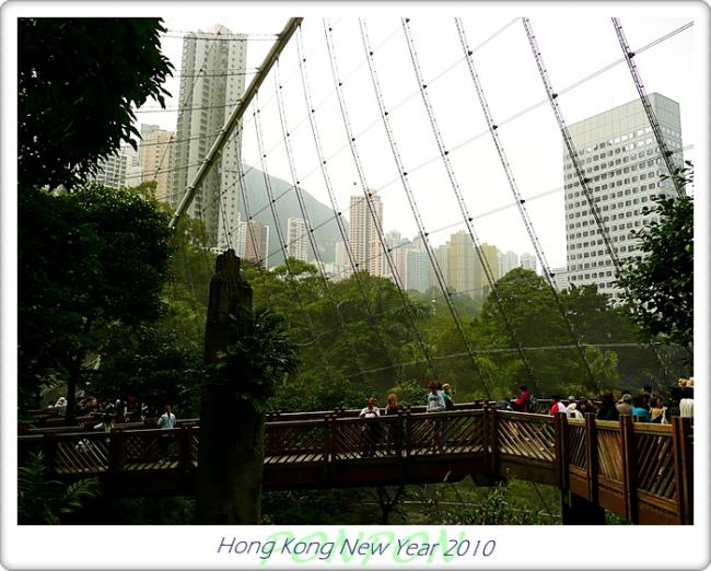 HK2010224.JPG
