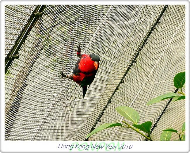 HK2010225.JPG