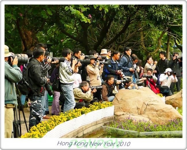 HK2010229.JPG
