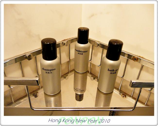 HK2010090.JPG