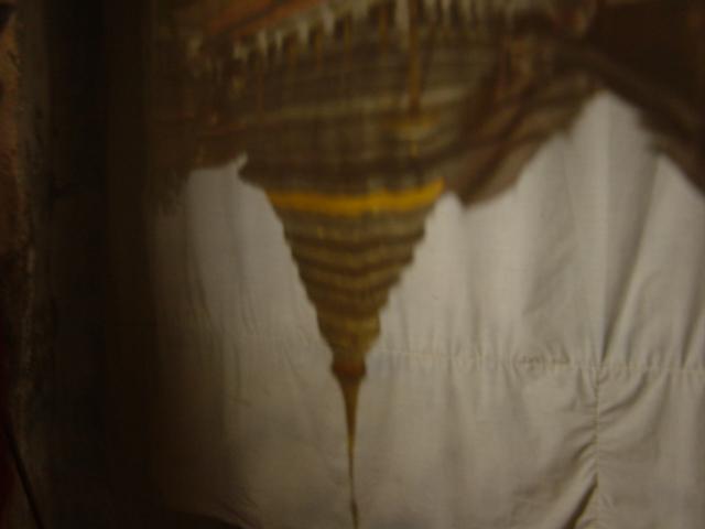 DSC00165.JPG