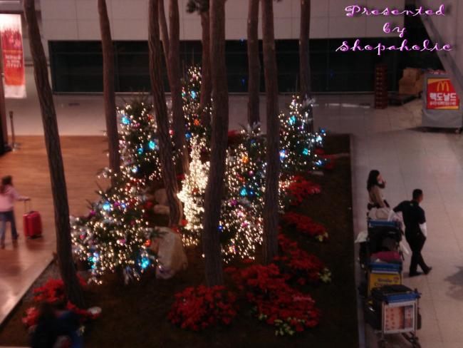 DSC01099_resize.jpg