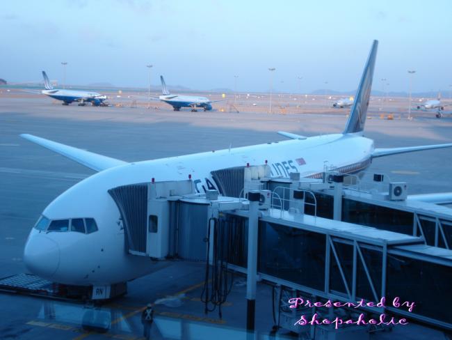 DSC01113_resize.jpg