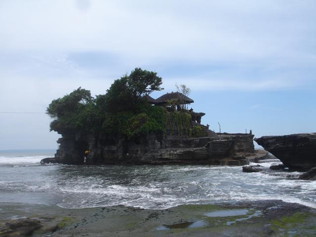 DSC00573.jpg
