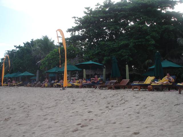 DSC00604.jpg