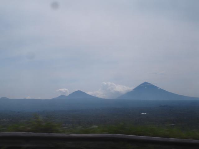 DSC00560.jpg