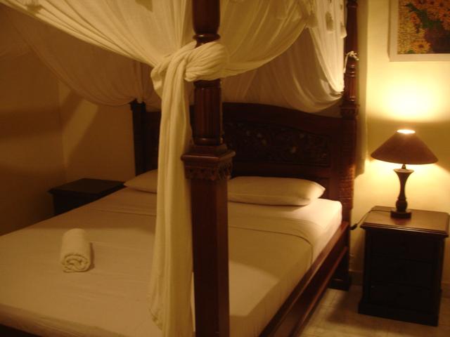 DSC00505.jpg