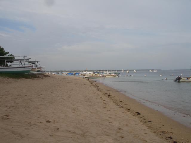 DSC00605.jpg