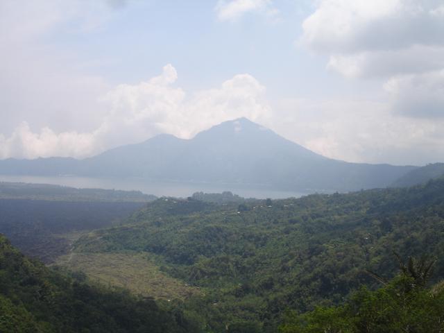 DSC00517.jpg