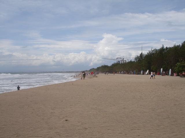 DSC00493.jpg