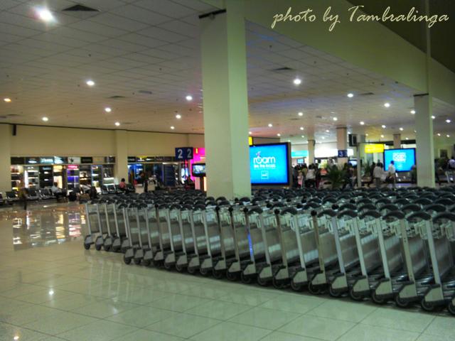 SDC12825.jpg