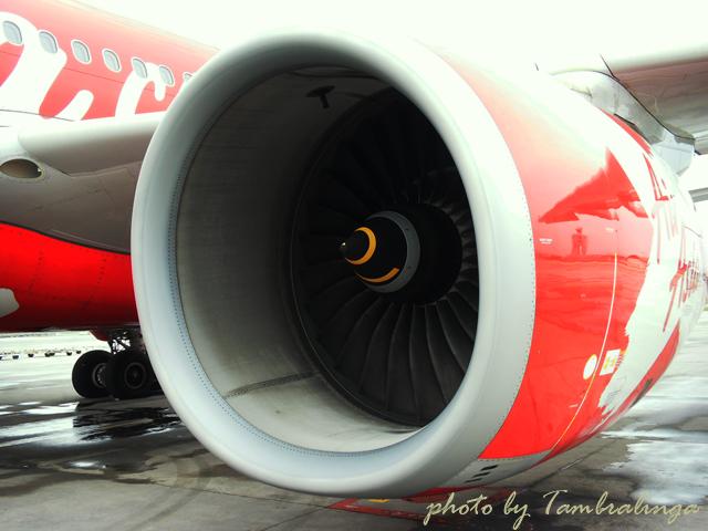 SDC12915.jpg