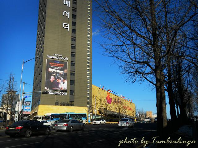 SDC12936.jpg