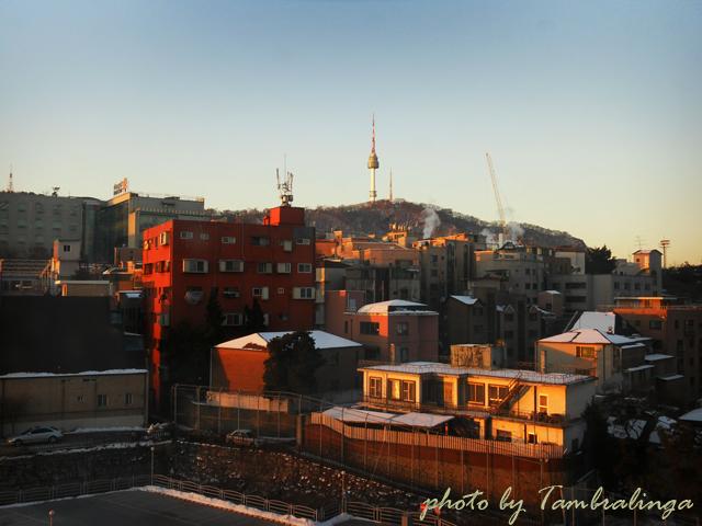 SDC12930.jpg