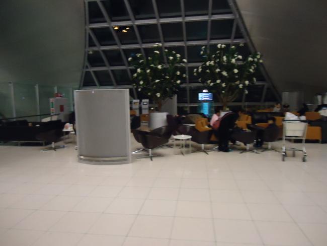 DSC03506_resize.JPG