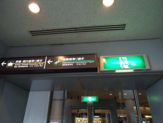 DSC03557_resize.JPG