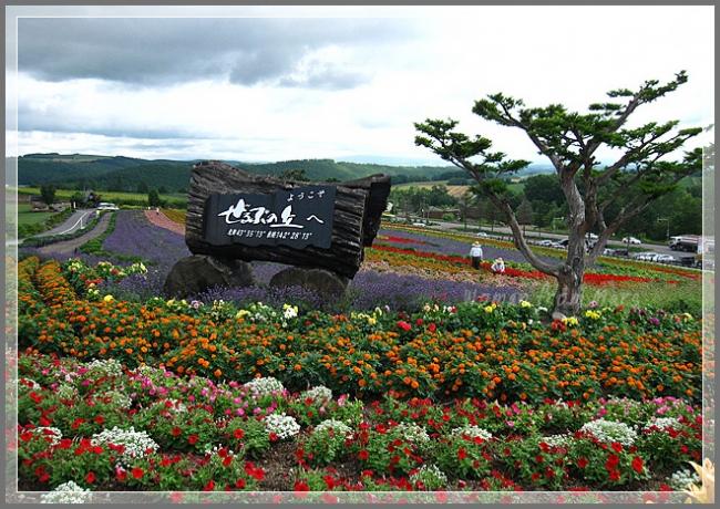 s-ask031-1.jpg