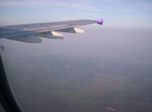 100_5955_resize.JPG
