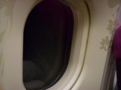 100_5472_resize_resize.JPG