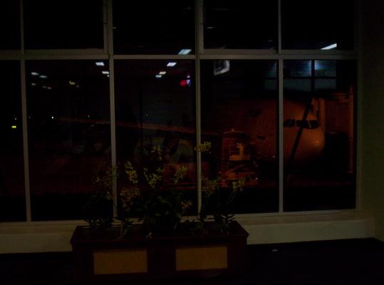 100_5432_resize.JPG