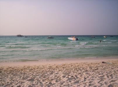 100_5679_resize.JPG