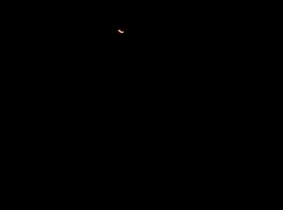100_5484_resize_resize.JPG