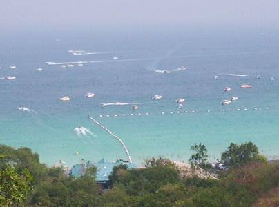 100_5742_resize.JPG