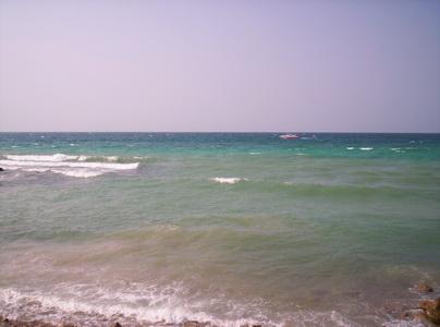 100_5649_resize.JPG