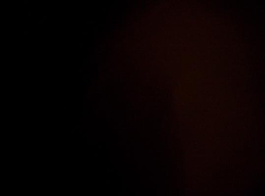 100_5455_resize.JPG