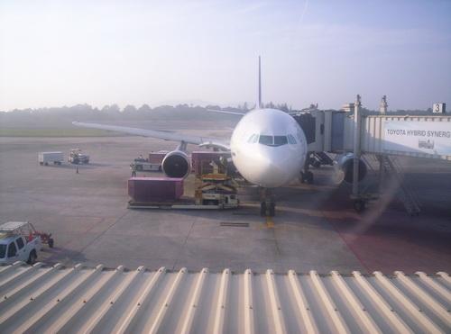 100_5972_resize.JPG