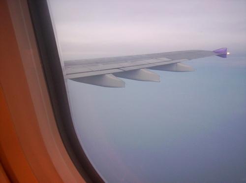 100_5937_resize.JPG