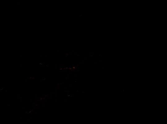 100_5597_resize.JPG