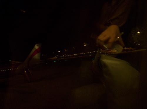 100_5909_resize.JPG